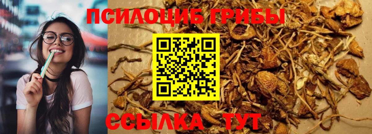 Псилоцибиновые грибы мицелий  Псилоцибиновые грибы Cubensis  дарнет шоп  Вход с VPN  Холмск 